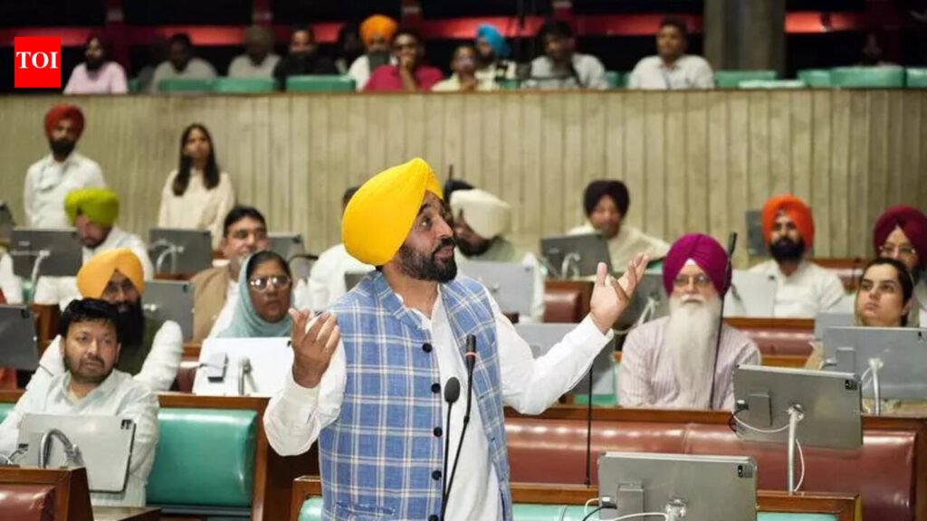 Punjab passes military robotics university and mining bills | Chandigarh News