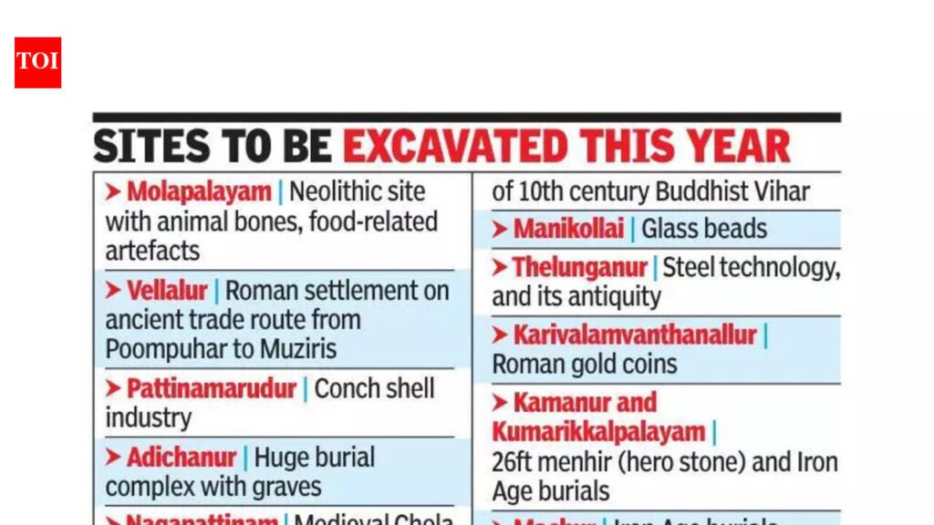 ASI nod for excavations at Keeladi, seven other sites in Tamil Nadu | Chennai News