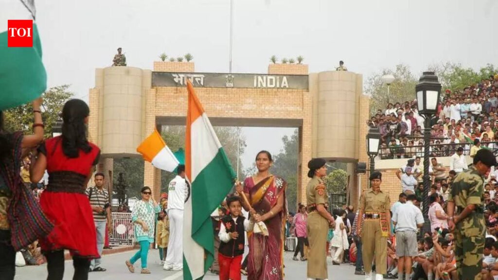 Sarabjit Kaur makes derogatory remarks on Sikhs in new video | Chandigarh News