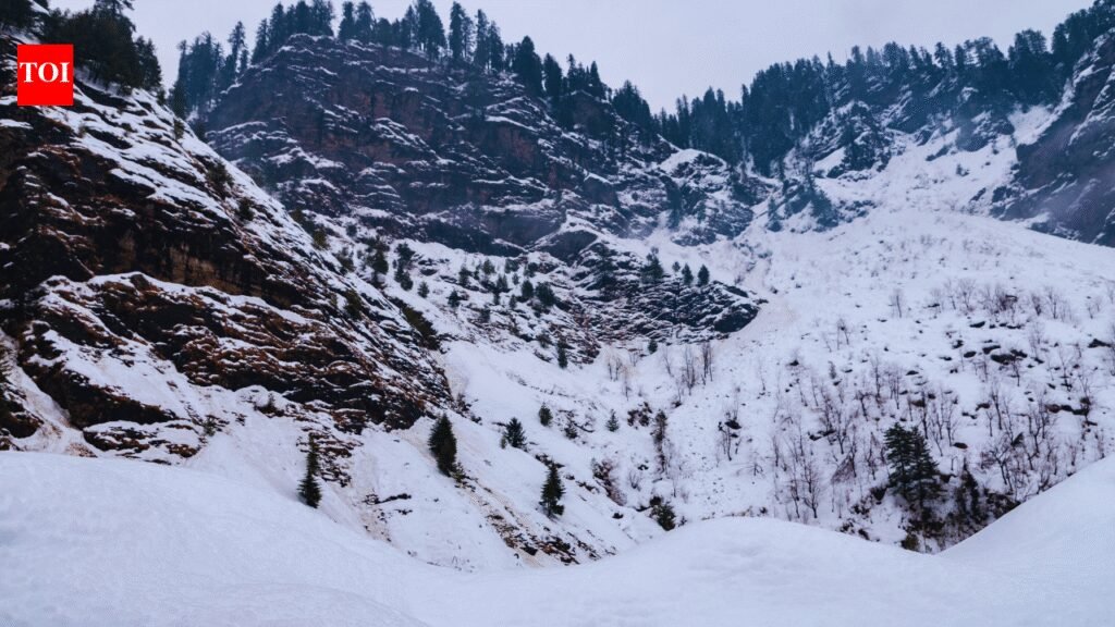 Atal Tunnel Snow Update: Himachal: Tourists spend night in cars as snow traps vehicles Near Atal Tunnel; snow clearance in full swing |