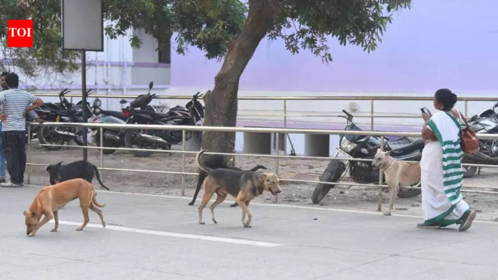 Rise in stray dog population on GMCH premises flagged | Pune News