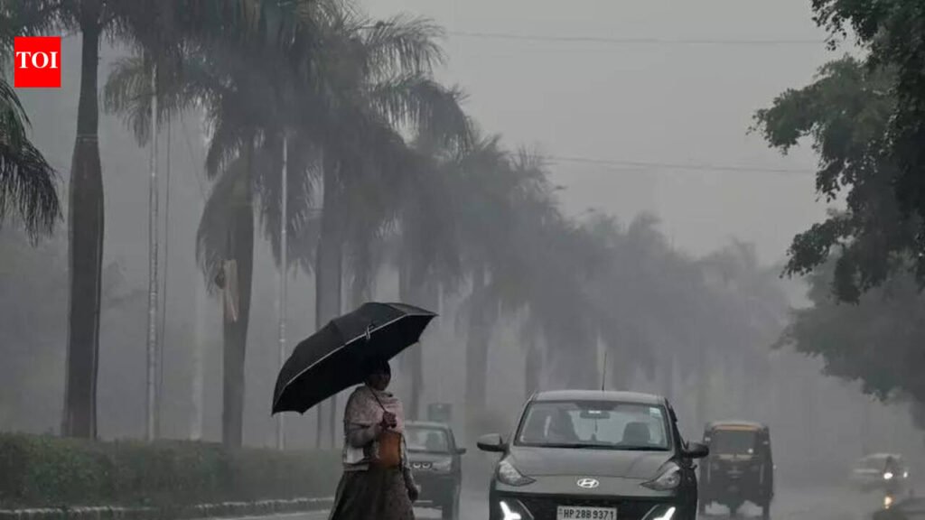 Haryana records 1000% excess rain, Punjab 284% | Chandigarh News