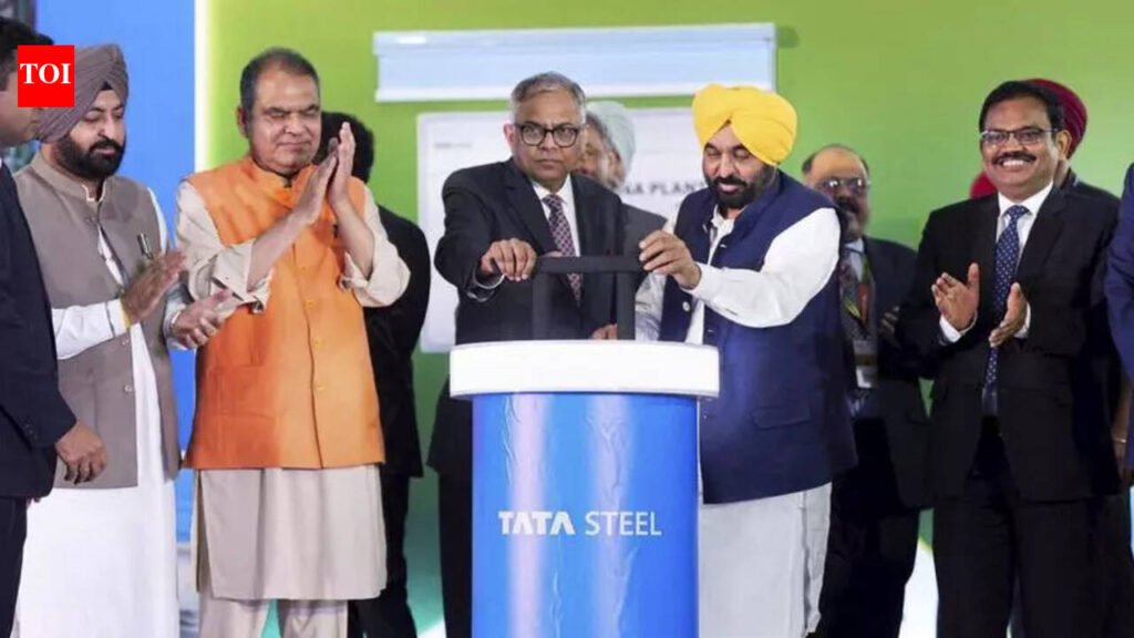 India’s second-largest Tata Steel plant starts ops in Ludhiana | Chandigarh News
