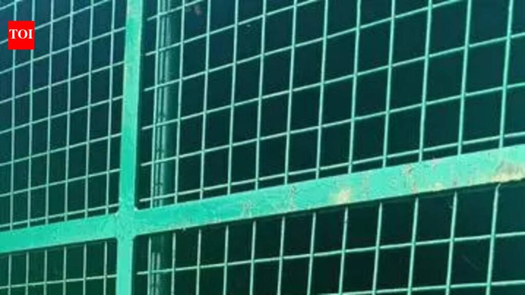 Leopardess reunited with three cubs found at cane field | Mysuru News