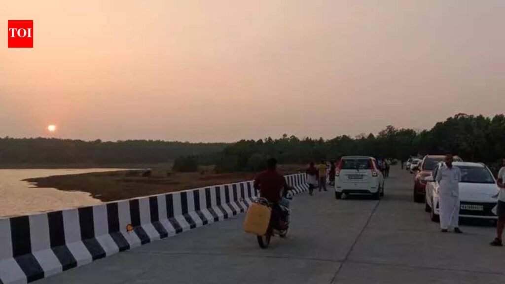 Bridge turns into tourist attraction in Chikkamagaluru | Mysuru News