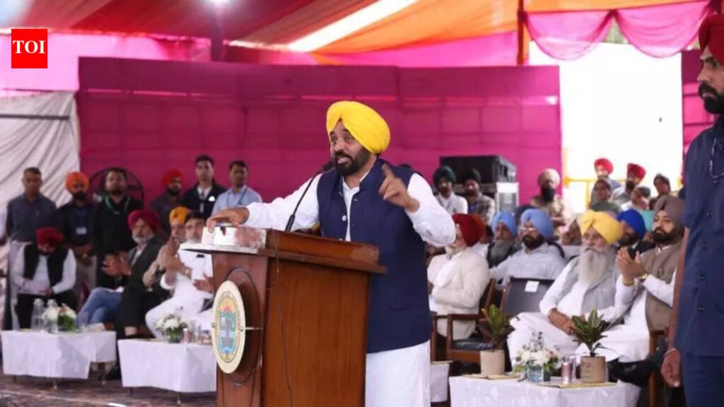 CM Mann pledges ₹118 crore for research as twin melas kick off | Ludhiana News