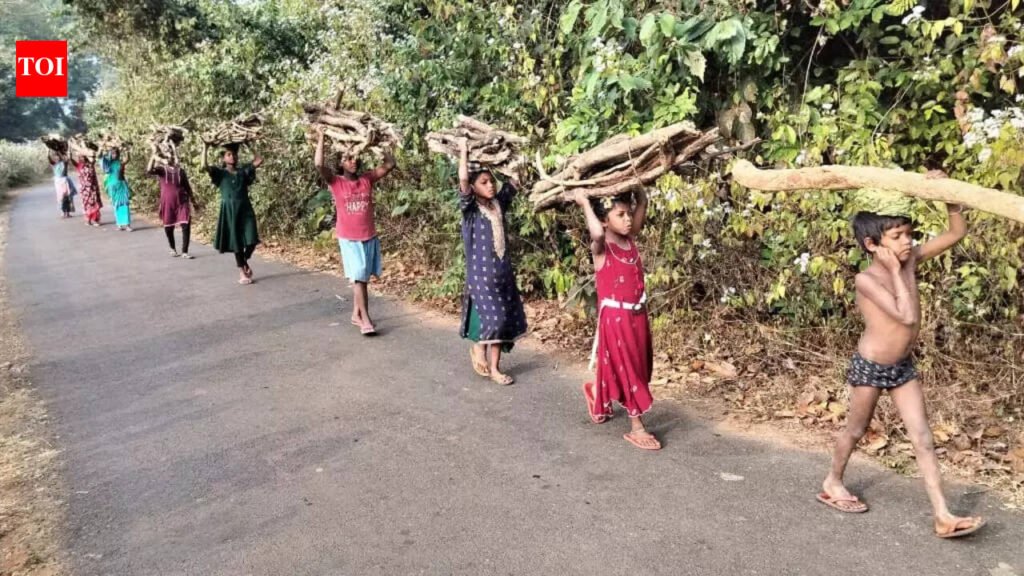 With LPG in short supply, people switch to firewood | Bhubaneswar News