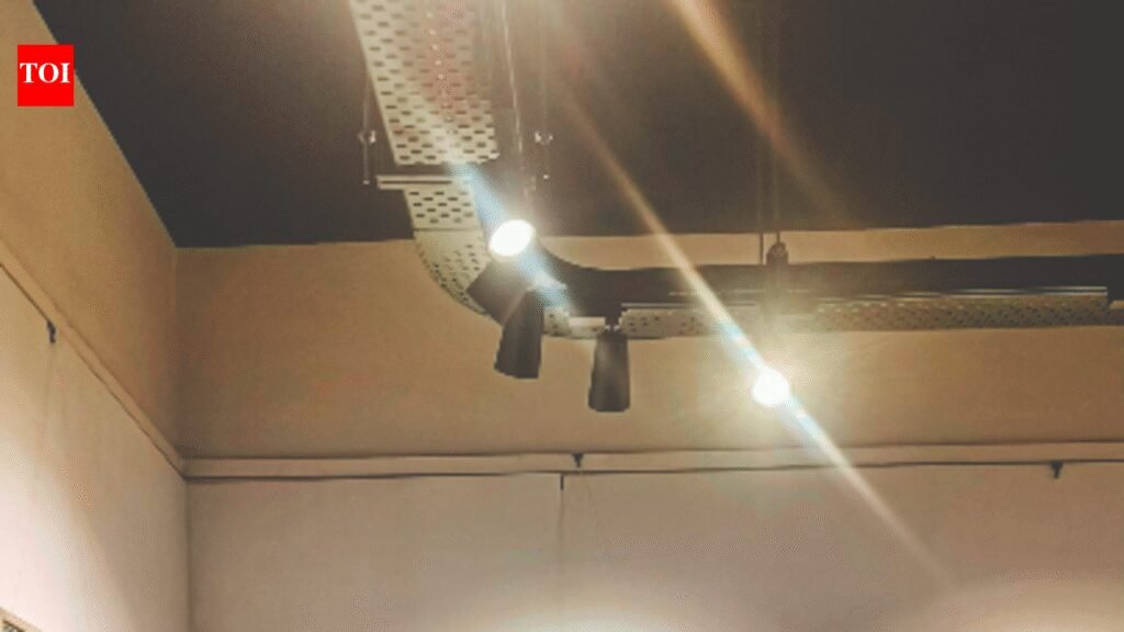 Can Chennai’s Art Market Finally Reach Its True Potential? | Chennai News