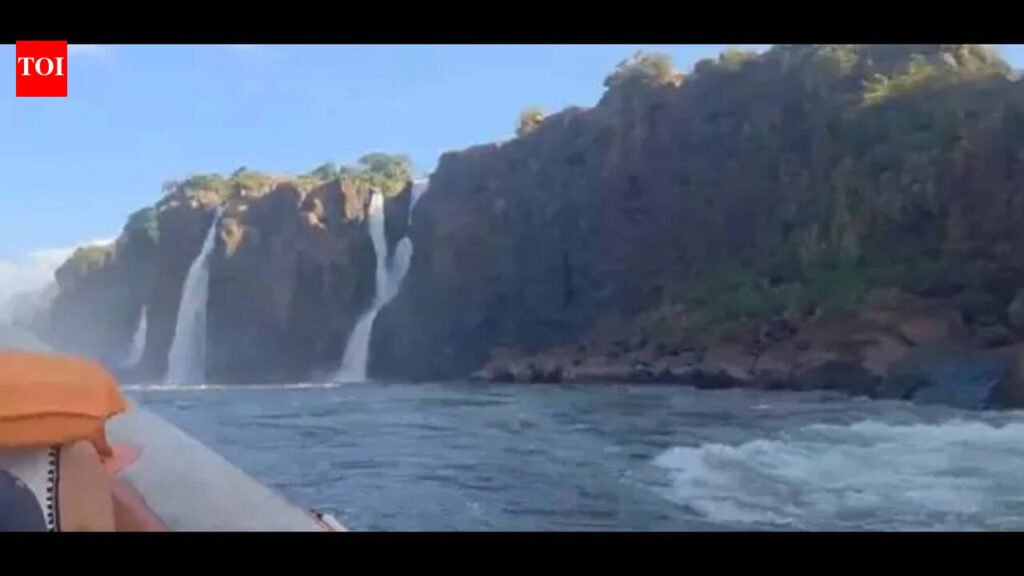 ‘Obnoxious India-India chant’: Professor says felt embarrassed as ‘Delhi bros’ created ruckus at Iguaçu Falls