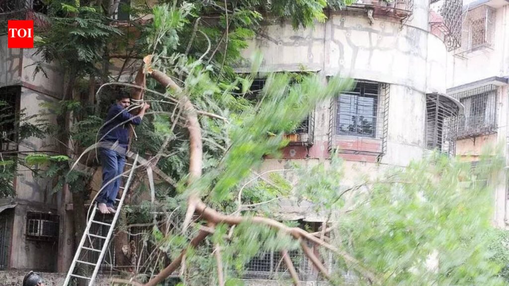 Greens to organise human chain protest in front of Navi Mumbai Municipal Corporation head office to save 440 trees | Mumbai News