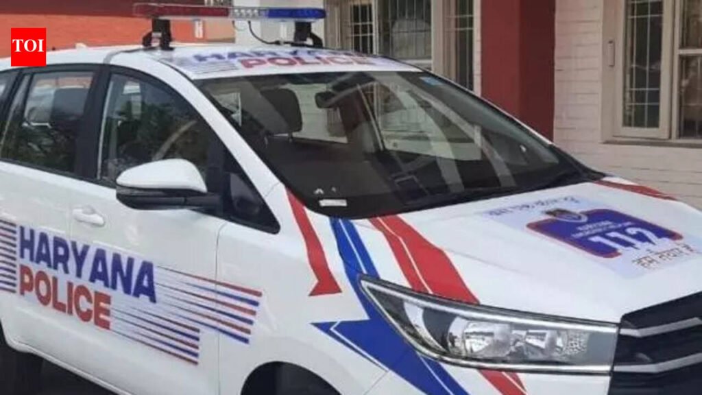 Man strangles wife to death in Kaithal, confesses to sister-in-law | Chandigarh News