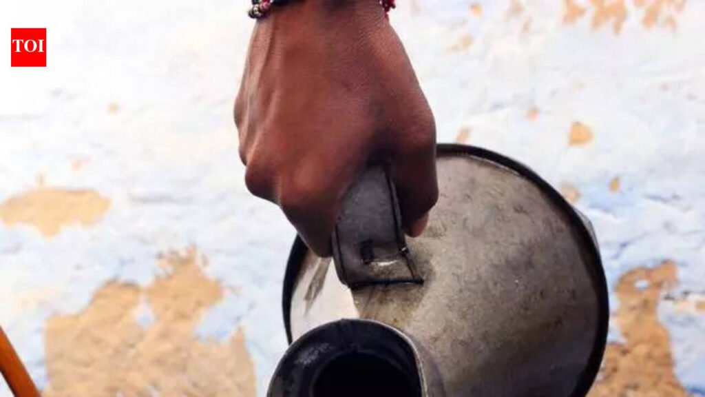 ‘Resume kerosene supply in urban areas’ | Nagpur News