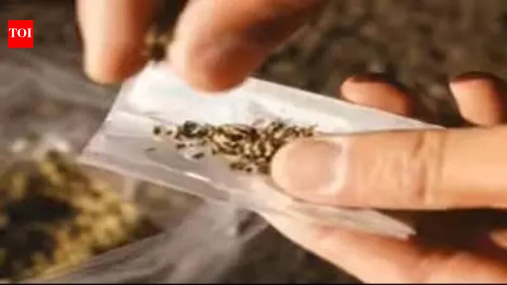 Woman gets 5-yr RI for possessing 9 kilos of ganja | Mumbai News