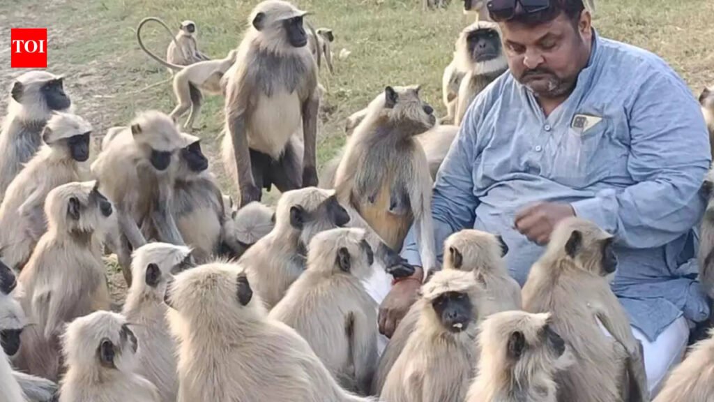 “I started feeding animals 17 years ago, and my life began to change”: Ahmedabad’s ‘Monkey Man’ on how kindness altered his destiny