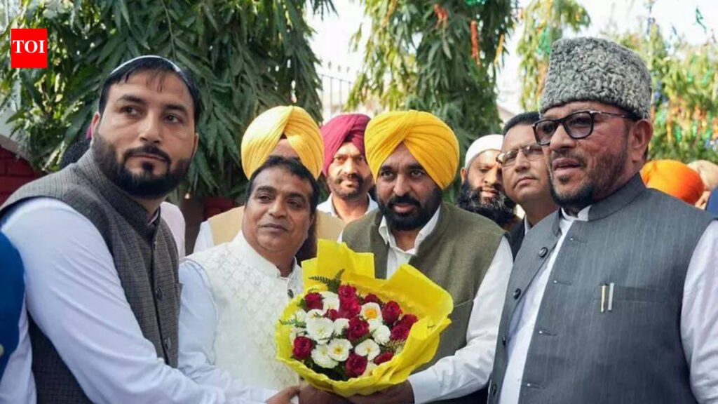 Punjab’s improving law and order now visible on ground: CM Mann | Chandigarh News