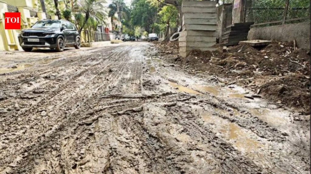 Pothole paradox: 1.2k plaints resolved, says MCG, portal tells different story | Gurgaon News