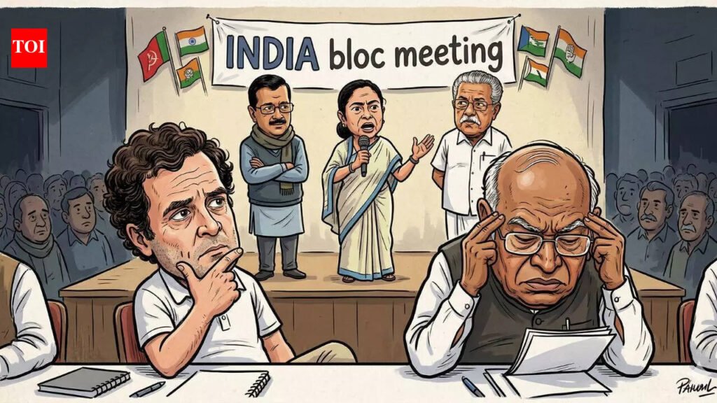 India Bloc: Allies in Delhi, rivals in states: Why Congress should quit INDIA bloc, fight regional parties | India News