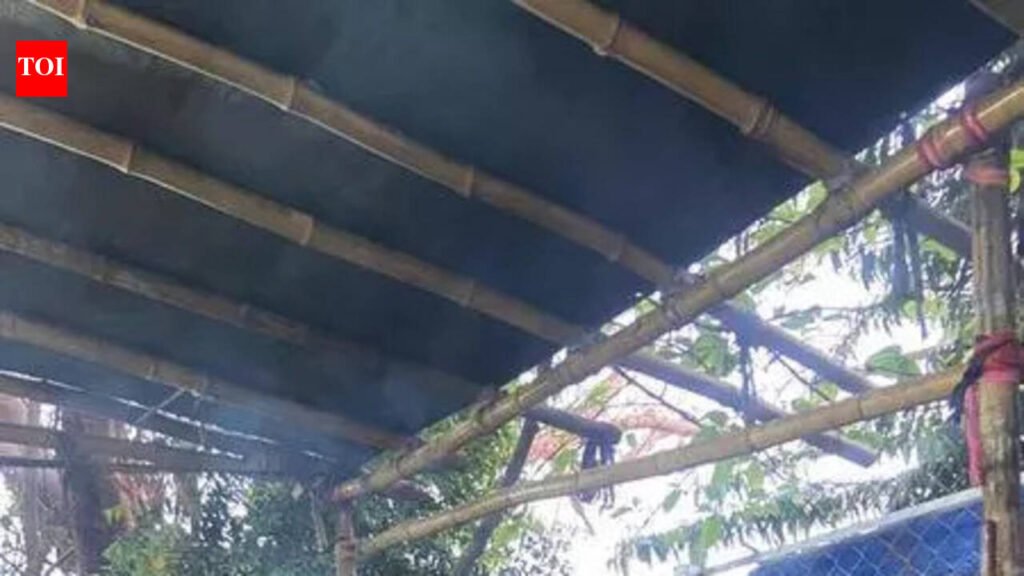 Migration to new cooking modes continues across restos | Kolkata News