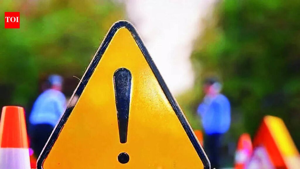 Auto overturns on new Bhangel Elevated Road, man dies | Noida News