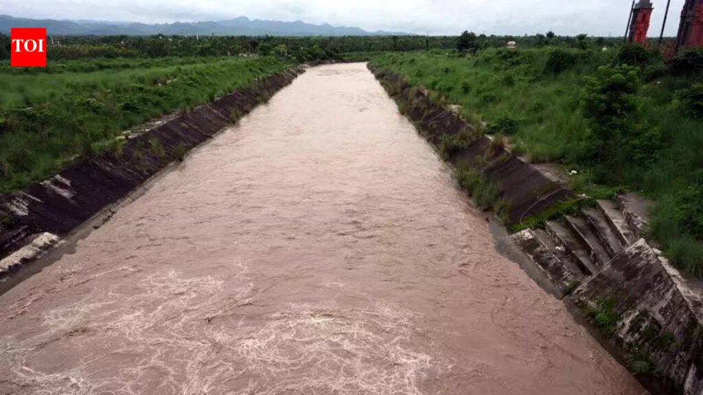 On World Water Day, pledge to save canals | Chandigarh News
