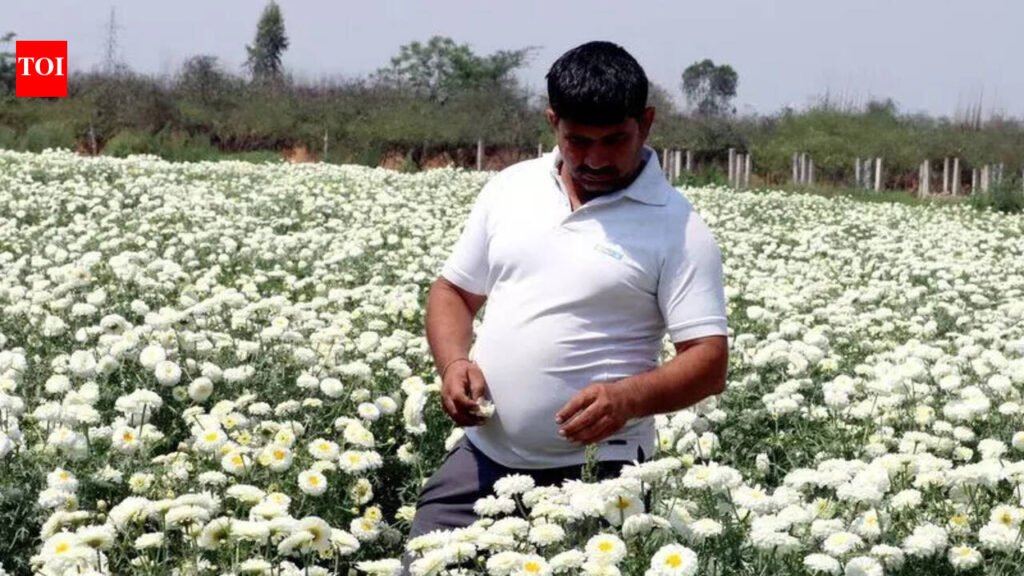 Haryana’s budding genius makes gold from marigold | Chandigarh News