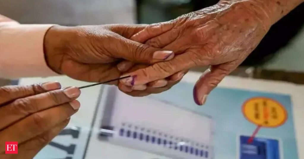 TVK goes solo in Puducherry polls, names candidates for 30 seats