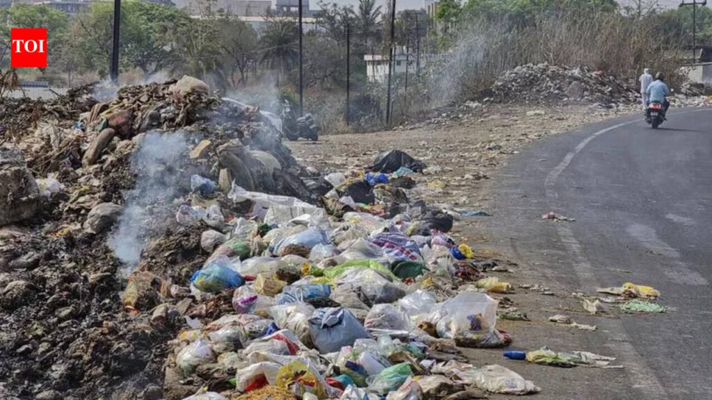 Woman injured in attack by stray dogs near Chakan village | Pune News