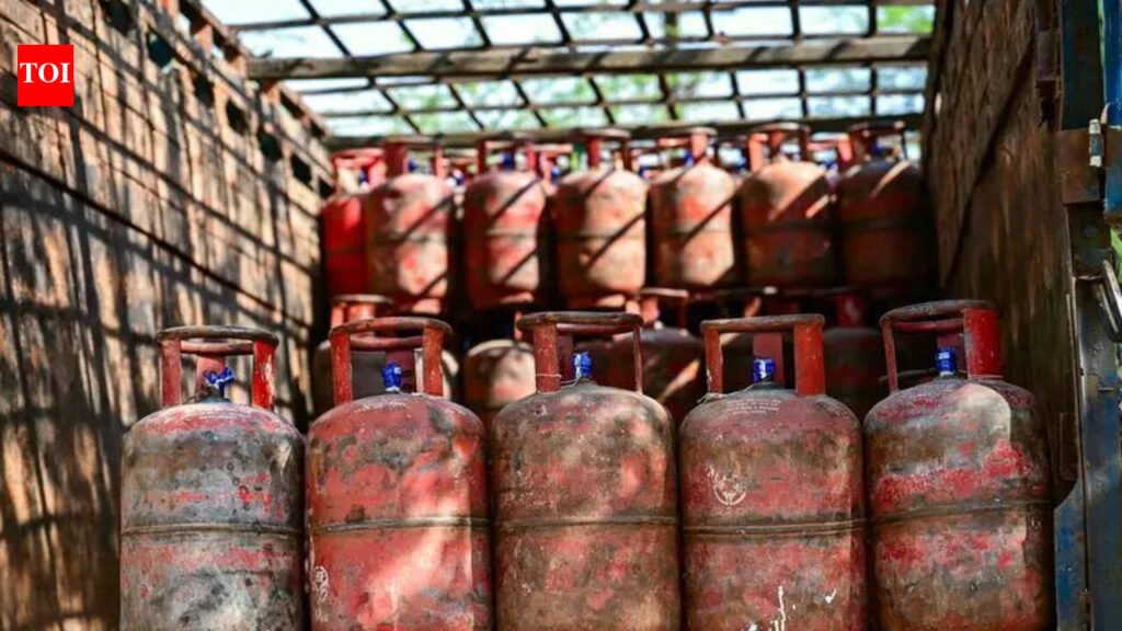 Nodal officers appointed to check on LPG black marketing in Fatehabad | Chandigarh News