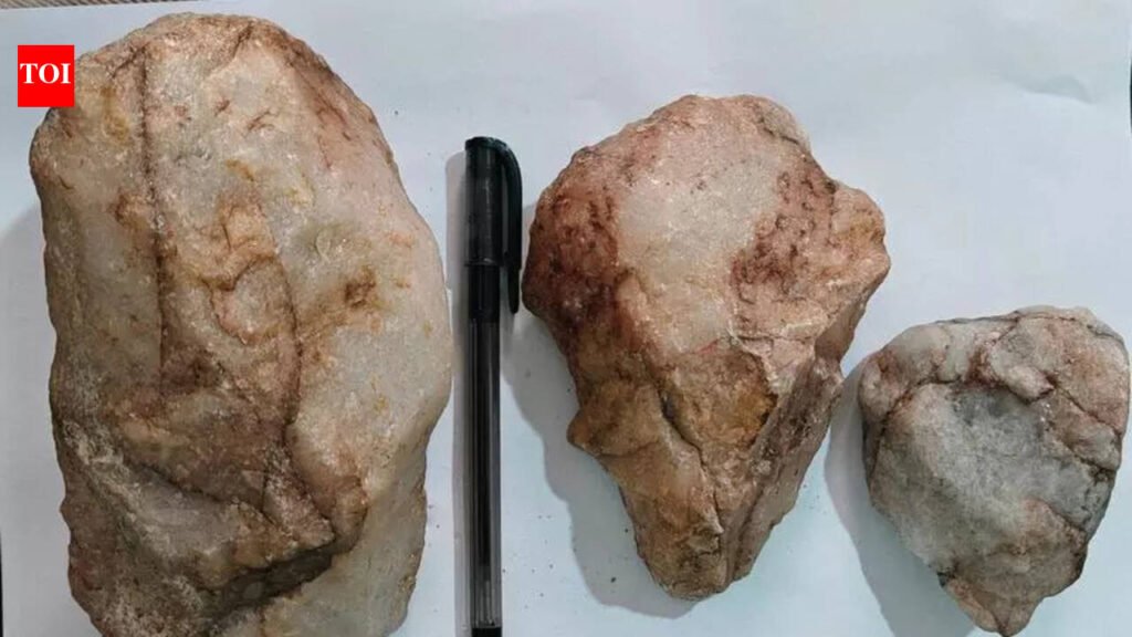 Over 1.5L years old stone tools found near Hyd | Hyderabad News