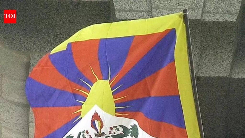 Tibetan Parliament-in-Exile passes resolutions on Tibet, ethnic unity law | Chandigarh News