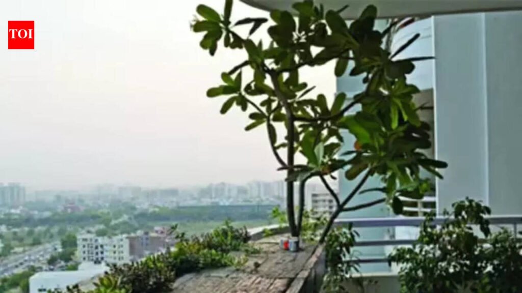 Native indoor plants reduce air pollution in city homes: Study | Chennai News