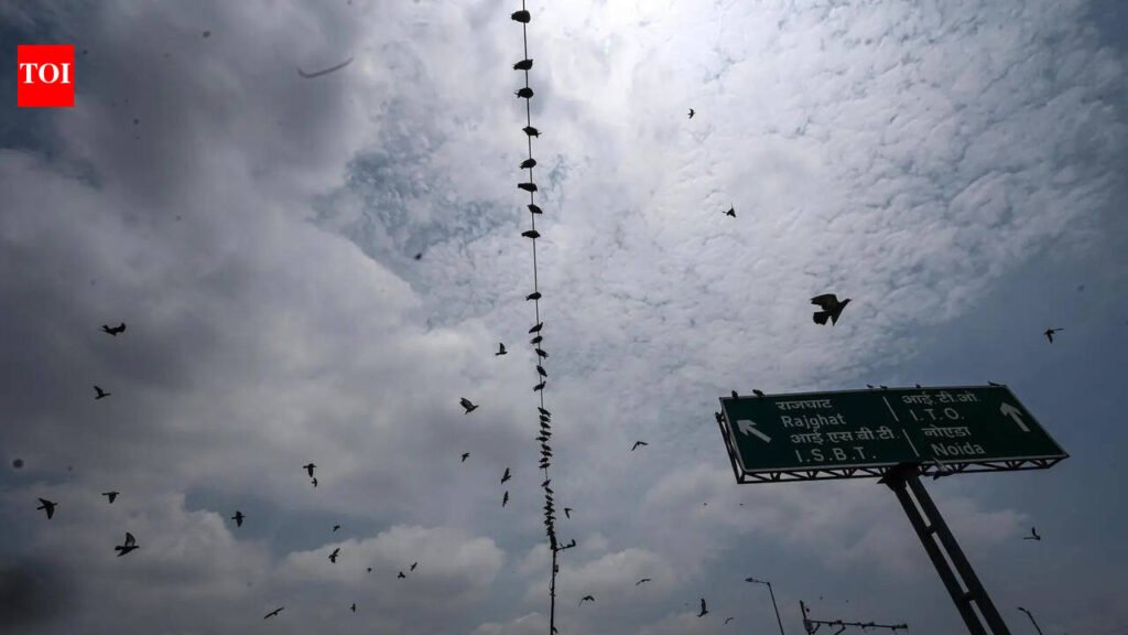 IMD issues yellow alert for rain, thunderstorm this week in NCR | Gurgaon News