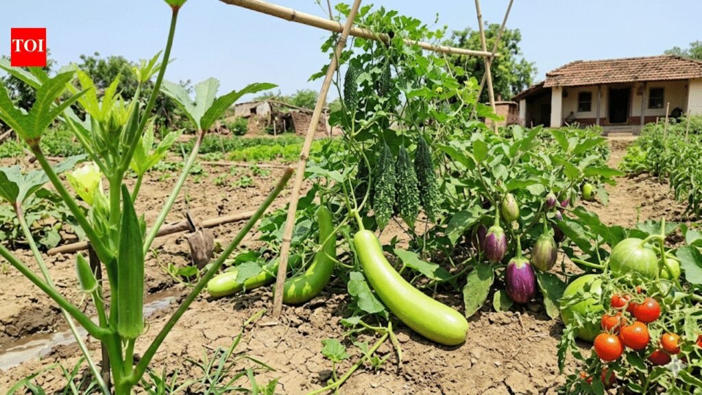 Grow bottle gourd to 5 best summer green vegetables for your home garden |