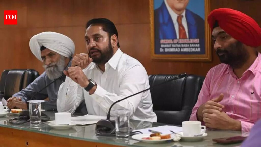 House photo will not be required for property tax payment: Mohali mayor | Chandigarh News