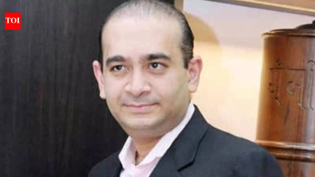 Nirav Modi defiant, blames CBI and ED for destroying his businesses | India News