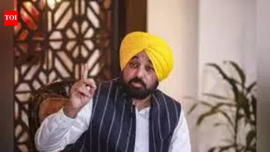 SGPC panel flags ‘confusion’ over CM’s sacrilege law remarks, seeks records | Chandigarh News