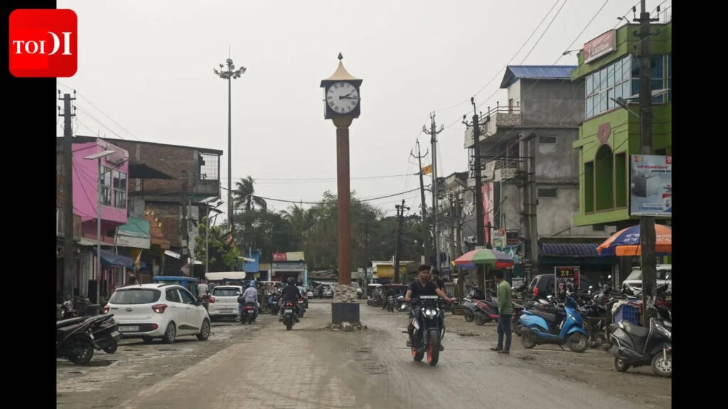 Quieter tongues fight for survival as campaigns roar on across upper Assam | Guwahati News