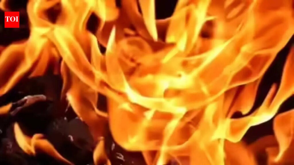 Three suffer burns as cylinder leak sparks fire | Noida News