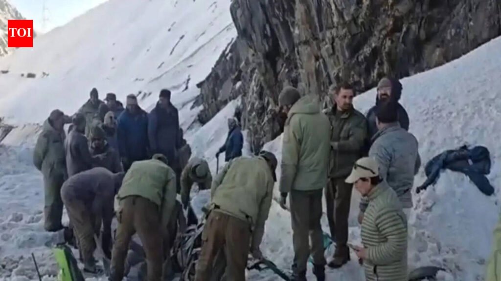 7 killed as avalanche buries several vehicles at Zojila Pass | India News