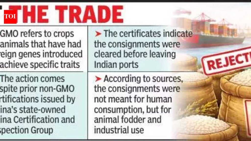 China Red-Flags Indian Rice As GMO, Sparks Export Concerns | Nagpur News