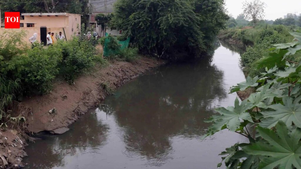 15-day deadline for STP sampling, 3-month mapping target under Yamuna action plan in Haryana | Gurgaon News
