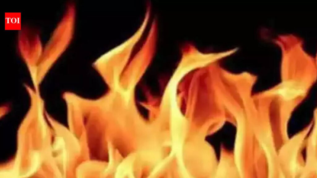 Fire breaks out at departmental store in Noida, shoe shop gutted, no casualties | Noida News