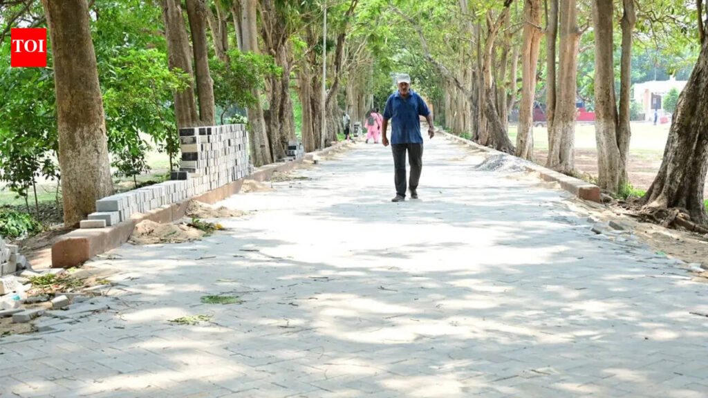 HC asks ASI to halt paver block work on walking track in Satyabrata Stadium | Bhubaneswar News