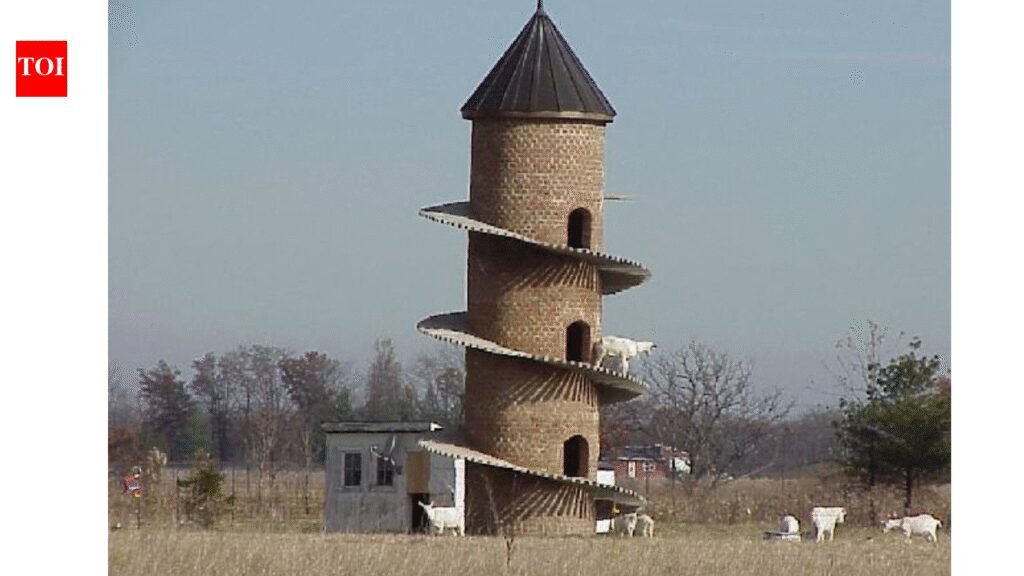 The GOAT tower: Why Illinois farmers built this 31-foot tower just for goats | World News