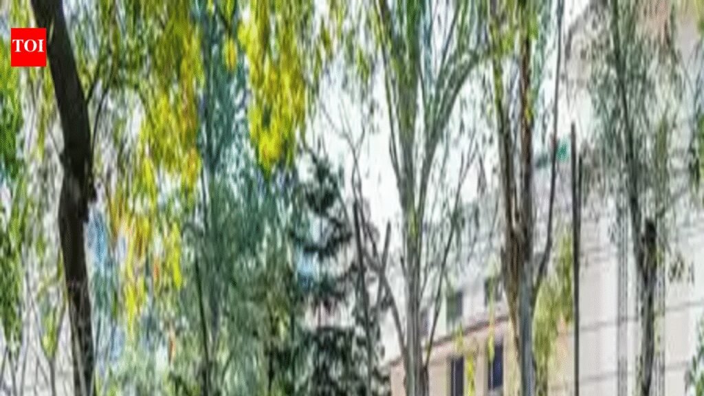 2024-batch IAS probationers undergo departmental training in Patna | Patna News