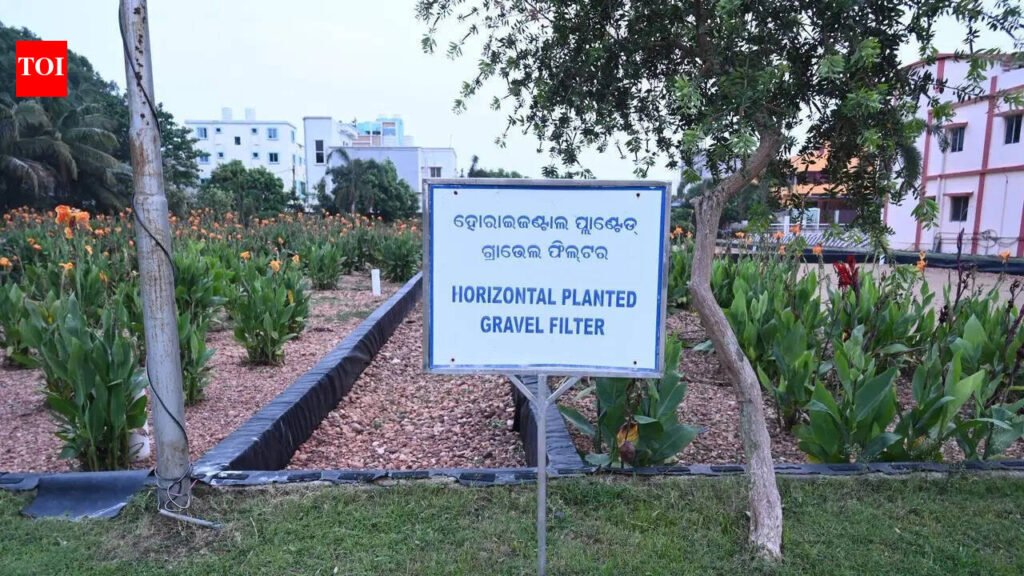 BMC to water city plants with treated waste water this summer | Bhubaneswar News
