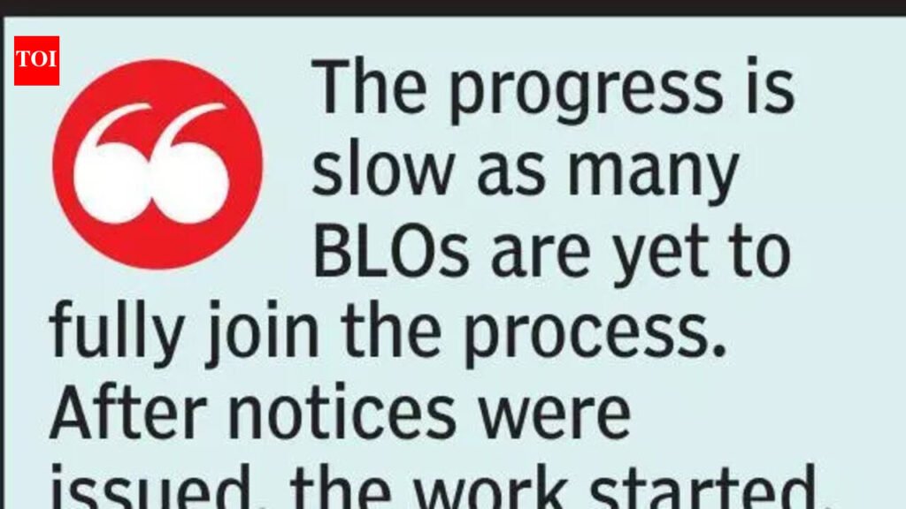 Errors in 2002 voter list hampers mapping ahead of SIR | Nagpur News