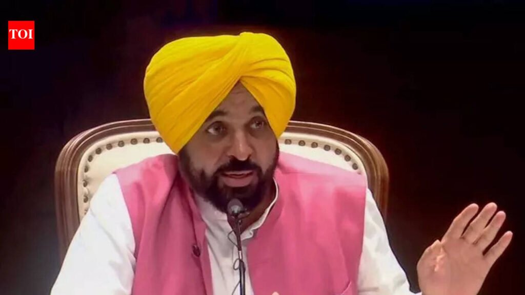 Time for PM Modi to shoulder responsibility: CM Mann | Chandigarh News