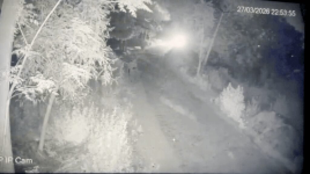 Man, 2 grandsons walking home die after Thar rams them | Gurgaon News