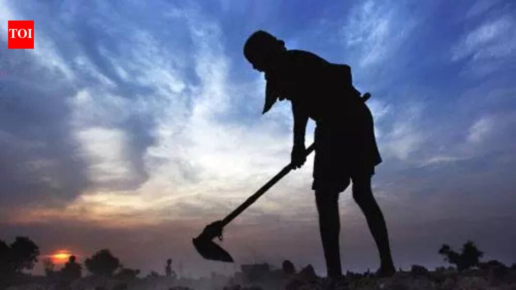 Govt relief to 286 farmers for crop damage by hailstorm, freak showers | Lucknow News